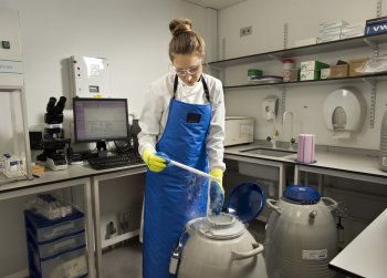 Fertility What we do - Treatments - Male Fertility Preservation Fertility What we do - Treatments - Male Fertility Preservation